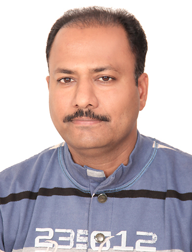 team image